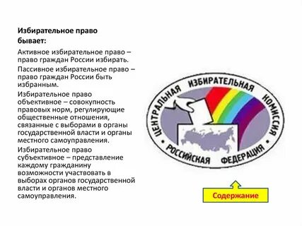 Право выбора избирательное право