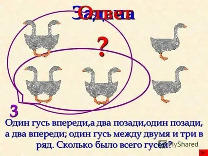Род слова гусь