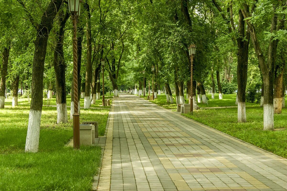 Отзыв о Александровский бульвар (Россия, Краснодар) Хорошее место для прогулок!