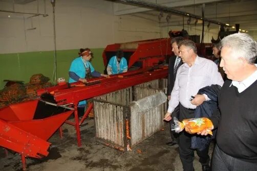 Совхоз большевик сортавальский район. Совхоз большевик. Смена арбузы гигантские. Усадьба совхоза большевичка бодров. Совхоз дашковка серпуховский район.