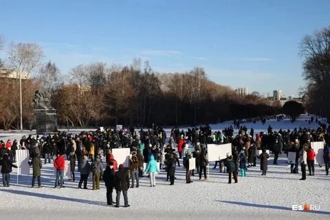 Более 300 человек