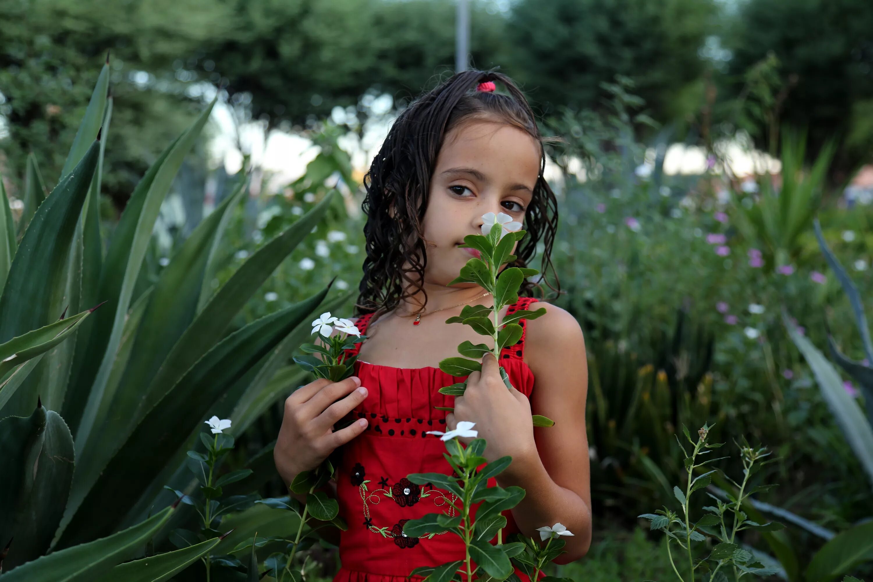 Девочка воняла. Фотомодель в саду. Цветы для девочки. Маленькая бразильская девочка. Девочка растение.
