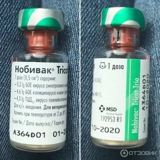 Прививка нобивак