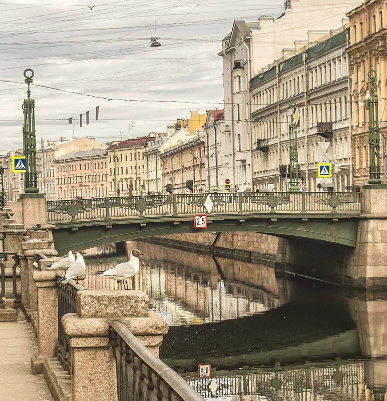 Вознесенский мост питер. Вознесенский мост питер. Вознесенский мост питер 19 век. Вознесенский мост в санкт-петербурге. Набережная канала грибоедова вознесенский мост.