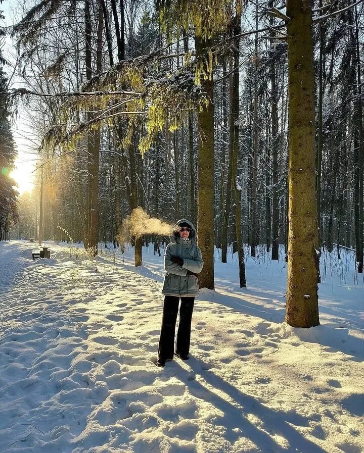 Утро природа февраль. Прогулка в лесу. Солнечный зимний день. Прогулка по зимнему лесу. Февраль природа.