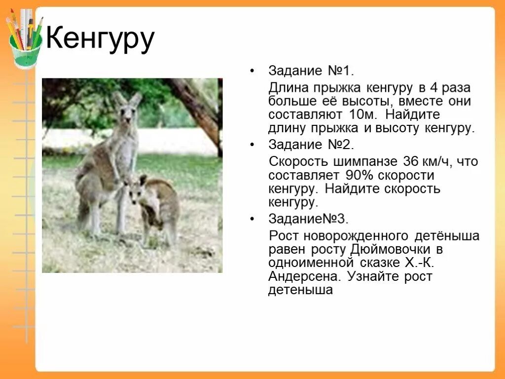 Кенгуру прыгает в длину. Кенгуру задачи. кенгуру высота. кенгуру доклад. прыжок кенгуру в высоту.