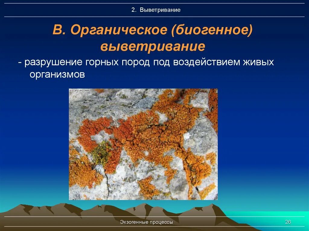 Образование органических горных пород. Органическое выветривание. Выветривание горных пород. Биологический процесс выветривания. Разрушение горных пород под воздействием.