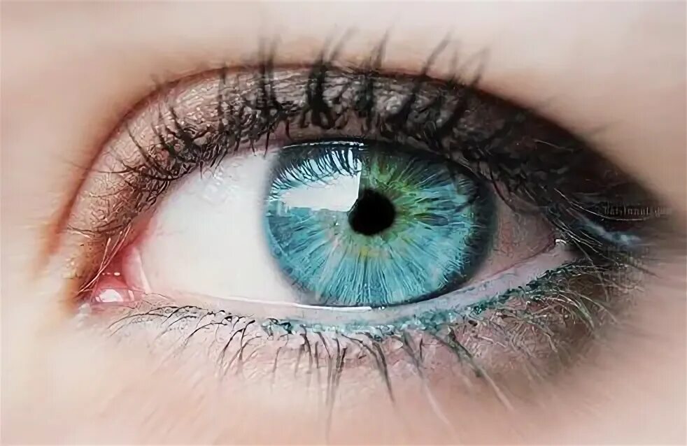 Как выглядит голубой цвет глаз Eye color, Writing inspiration, Writing fantasy
