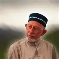Саид афанди аль чиркави. Шейх саид афанди чиркейский. Афанди аль. Саид афанди дагестан. Хасан хильми афанди.