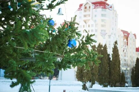 Новогодние праздники в липецке