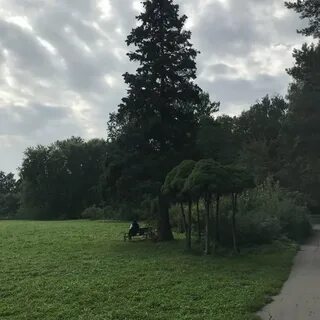 Ботанический сад цицина москва отзывы