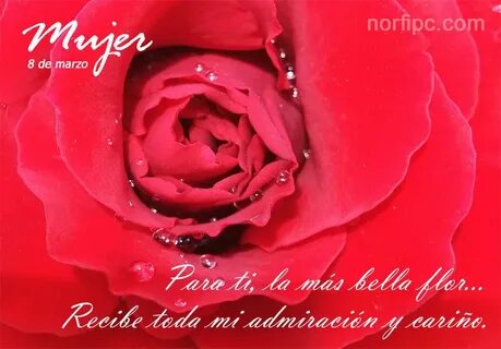 De marzo
