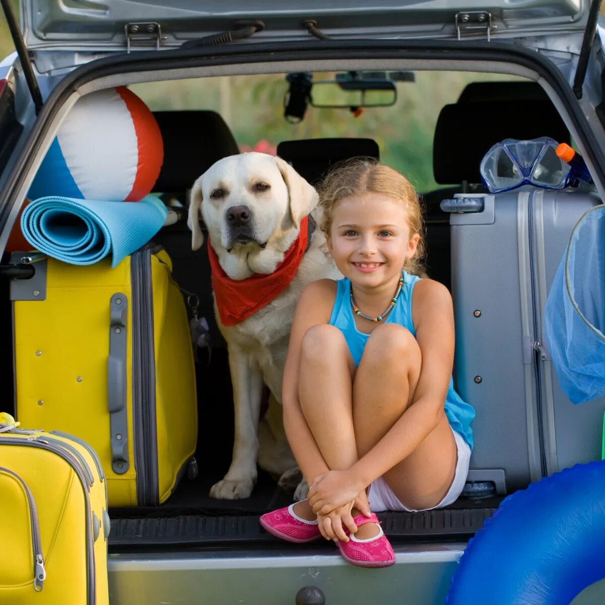 Девушка с собакой в машине. Девушка путешествует с собакой. Семья с собакой в автомобиле. Собака и ребенок в машине. Take your pet