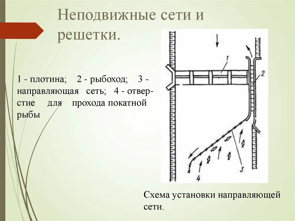 Между двумя плотинами 4 букв
