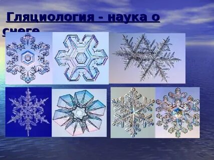 Что изучает наука гляциология