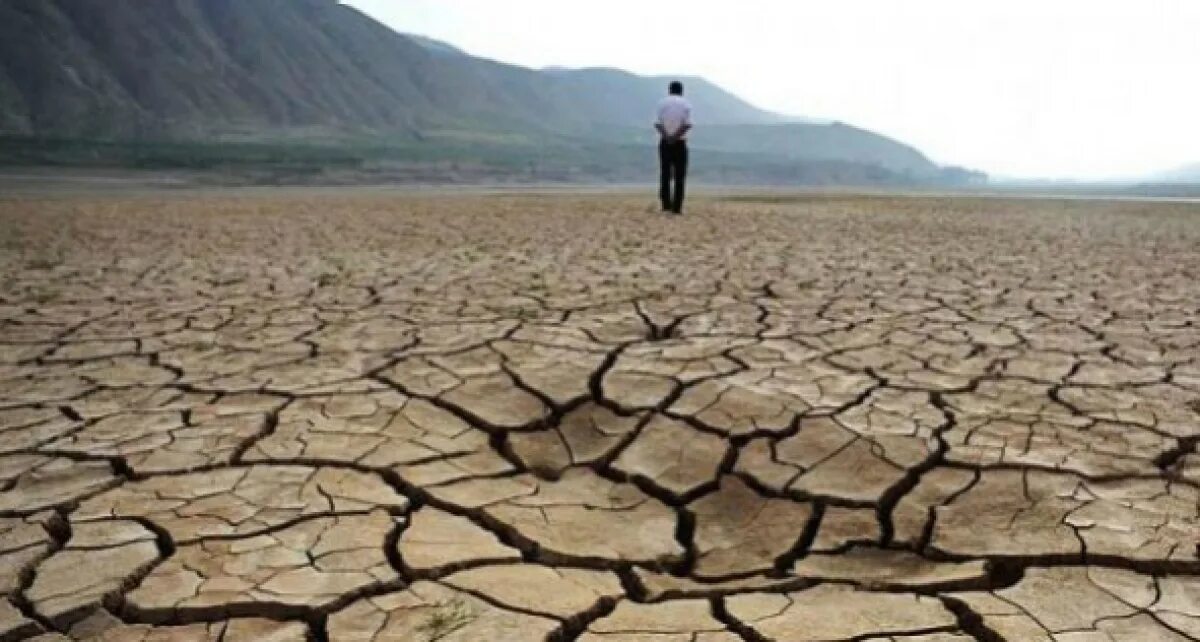 Засуха в мире. Опустынивание. Опустынивание почв. Опустынивание в России. Пути решения опустынивания засухи.