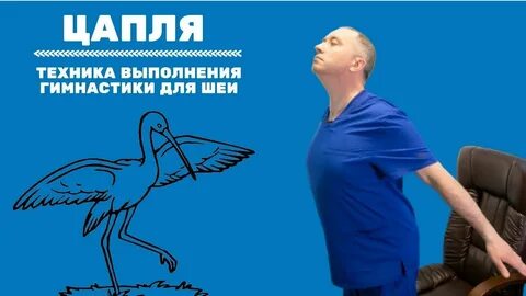 Шишонин гимнастика для спины без музыки сигналом
