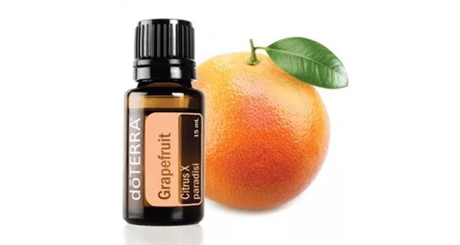 Белый грейпфрут дотерра. Doterra масла грейпфрут. цитрус блисс дотерра. эфирное масло грейпфрута.