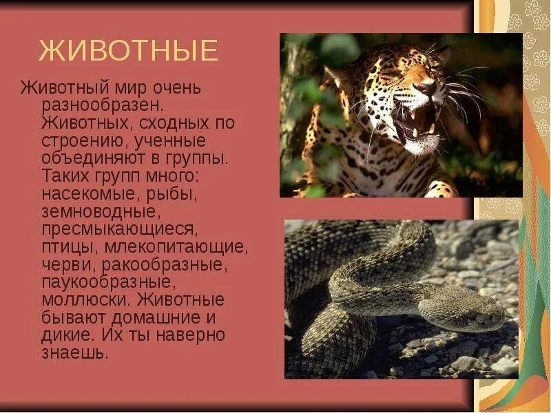 Темы для проекта 9 класс животные Темы для проектов по биологии 9 класс защита проектов допуск к экзамену