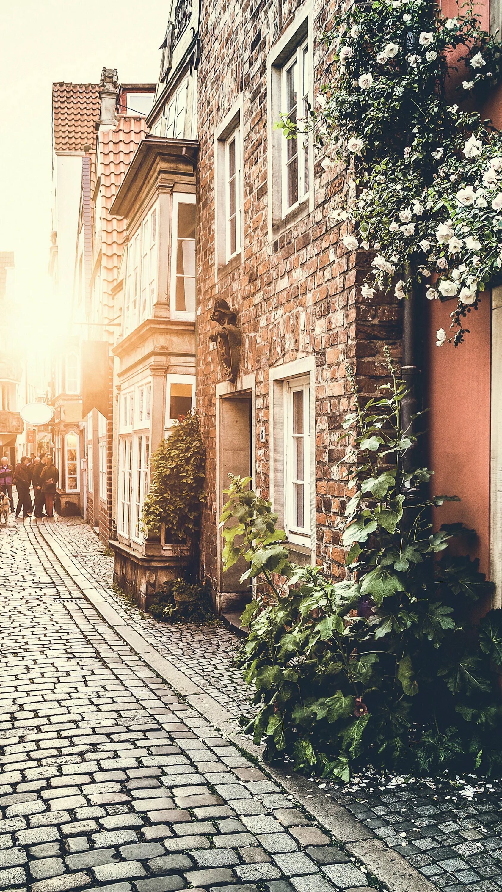 Город улица закат. Фото на улице на телефон. Улица парк. Заснеженный город. Таймс сквер пешеходная.