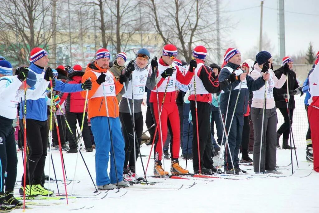 кострома лыжня. посадский лес кострома. лыжня россии кострома банер. лыжня россии 2022 костромская область. сосновый бор лыжная трасса кострома.