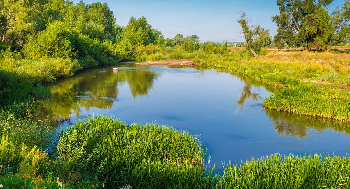 Малые реки. Небольшая речка. Примеры малых рек. Малые реки россии. Мелкая река.