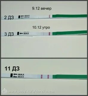 Задержка 19 дней тест отрицательный