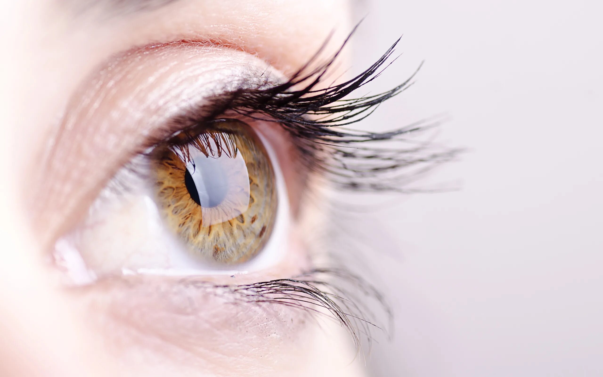 Обои на рабочий стол глаза. Синие глаза. Обои на пк глаза. Обои глаза. Обои глаза.