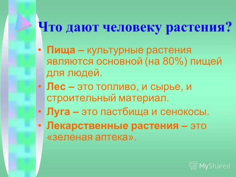 Что дает четыре свободный. Что дают растения человеку. Схема что дают растения человеку. Что дают растения и животные человеку. Схема что дают растения животным.