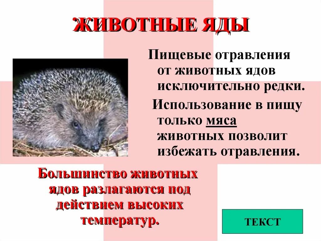 Профилактика отравлений ядовитыми веществами. Первая помощь при отравлении ядовитыми веществами. Оказание первой помощи при отравлении ядами. Профилактика отравлений растительными ядами. Отравления яд животных.