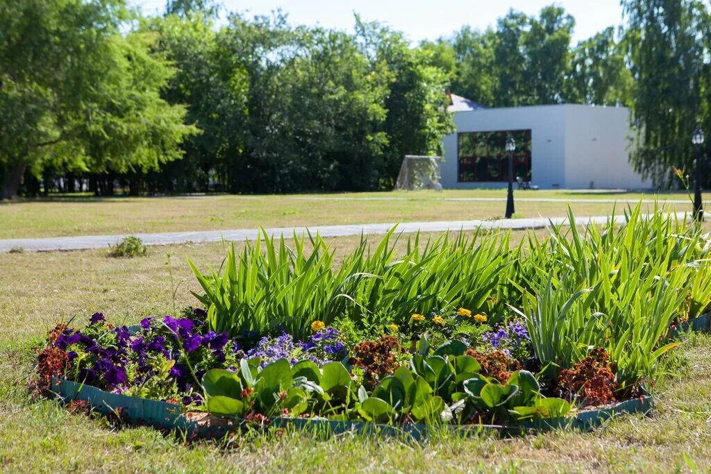 Санаторий ласточка тюмень фото. Ялуторовский тракт 28 километр. Санаторий ласточка тюмень. Ялуторовский тракт 28 километр. Тюмень ялуторовский тракт санаторий ласточка.