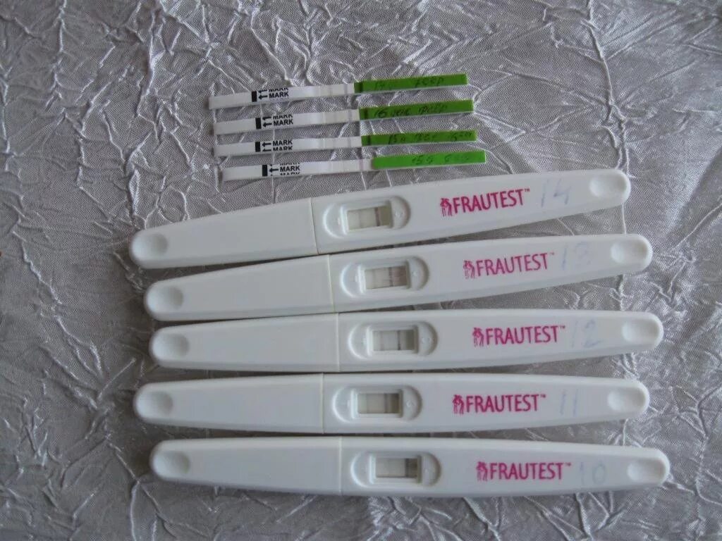 Овуляция. Признаки овуляции тест. Симптомы овуляции и фертильных дней. Как понять была ли овуляция. Как понять есть ли овуляция.