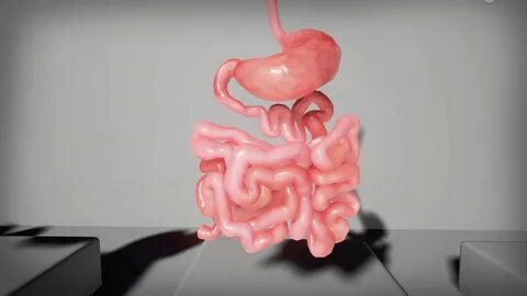 Internal d