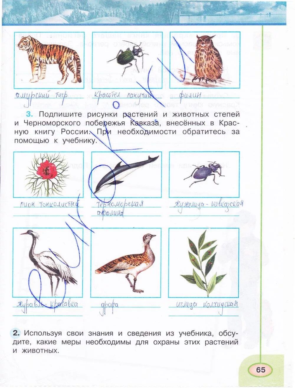 Окружающий мир страница 30 31 32. Гдз по окружающему миру 4 класс рабочая тетрадь 1 часть Плешаков стр 65. Гдз по окружающему миру 4 класс рабочая тетрадь 1 часть Плешаков стр. Окружающий мир 4 часть рабочая тетрадь Плешаков Новицкая. Окружающий мир 4 класс Плешаков тетрадь Плешаков Новицкая 1 часть.