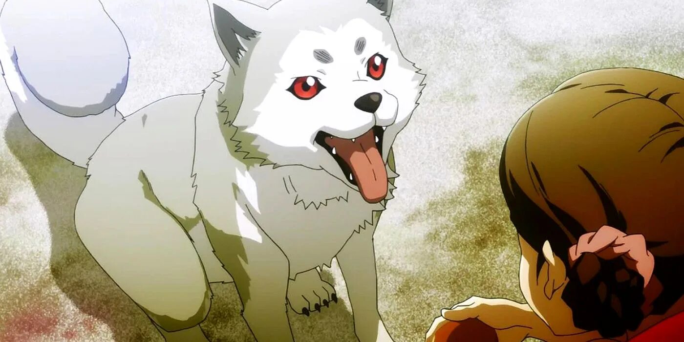 Переродился в другом мире чтобы тискать пушистиков. Переродился в другом мире чтобы тискать пушистиков. Переродился в другом мире чтобы тискать пушистиков. Ассасин переродившийся в другом мире аристократом. Saikou no ansatsusha.