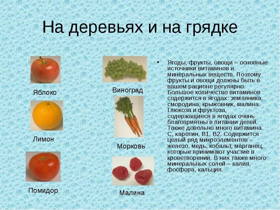 Витамины содержащиеся в овощах и фруктах. Содержание витаминов в овощах таблица. Фрукты для презентации. Овощи и фрукты богатые витамином с. Содержание витамина с в фруктах таблица.