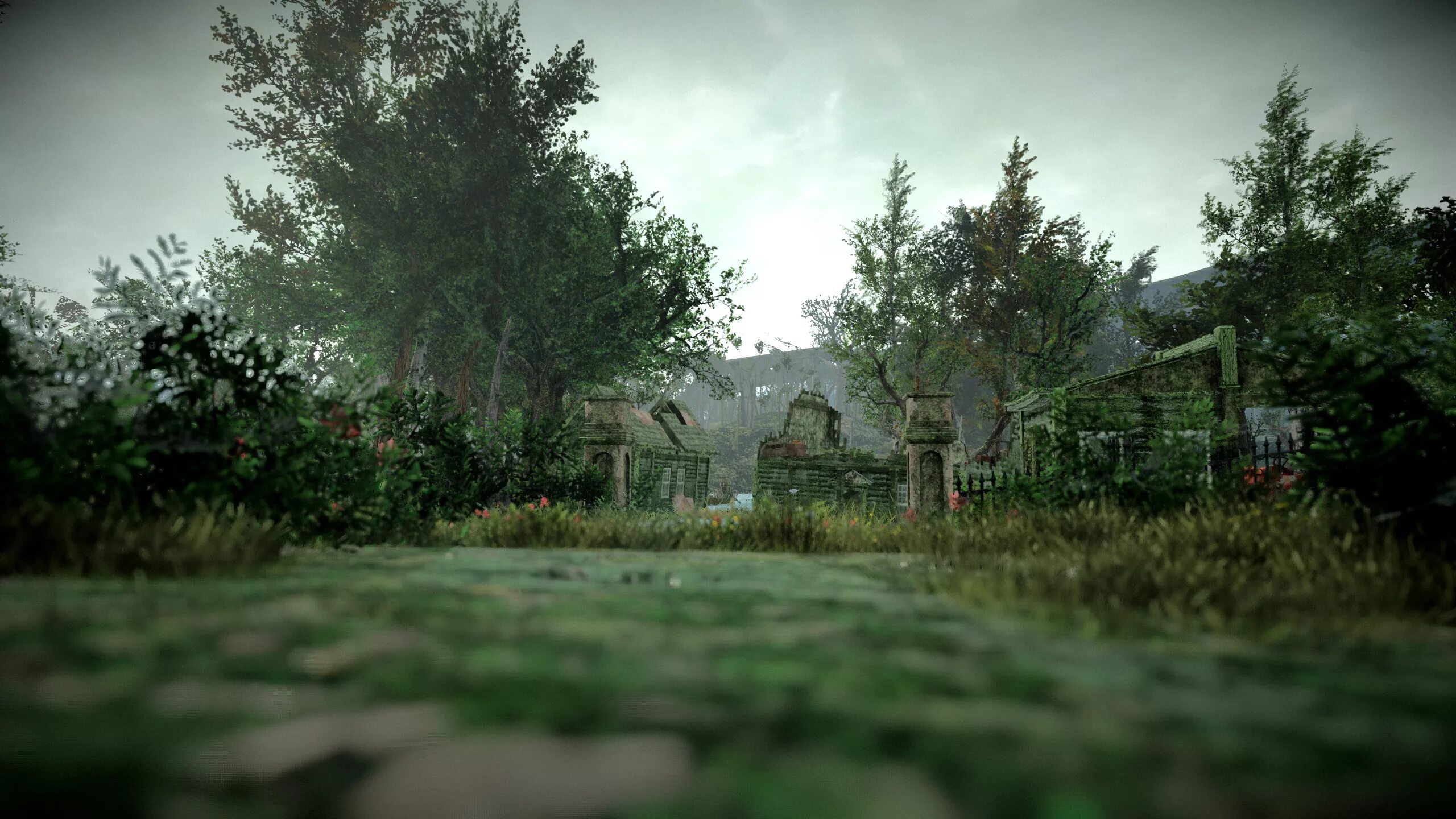 Fallout установщик модов. Фоллаут 4. фоллаут 4 saloon. photorealistic commonwealth fallout 4. fallout 4 grass.
