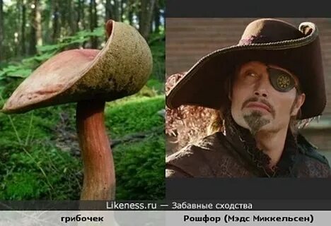 Люди похожи на предметы