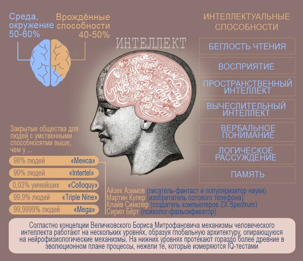 Айкью мозга. Уровень интеллекта у человека. Признаки высокого интеллекта. Интеллектуальные способности. Высокий уровень интеллекта.