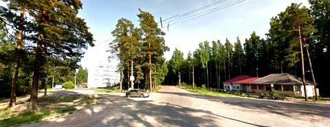 Выборгский бор