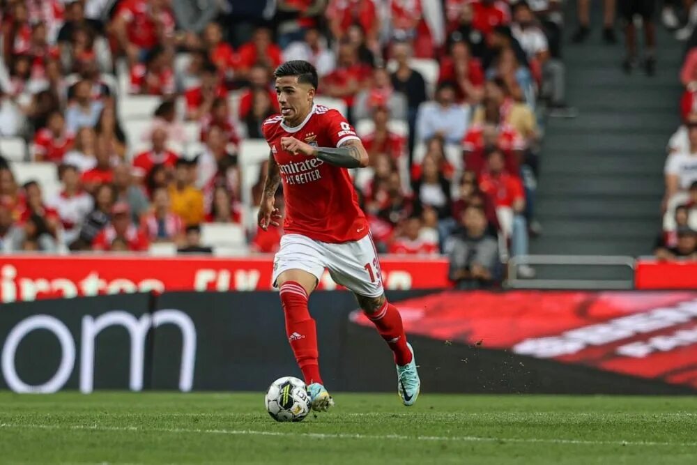 Enzo smooth. Энцо фернандес 2025 аргентина. энцо фернандес футболист 2025. enzo vogrincic.