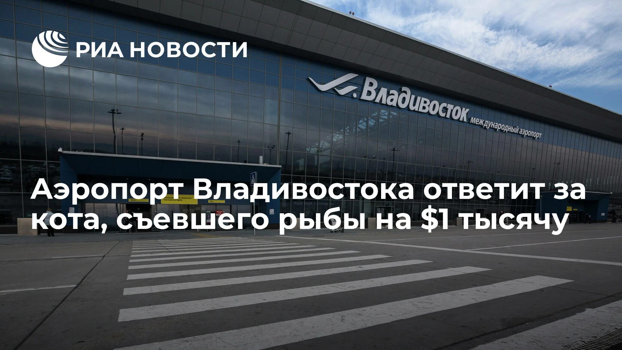 Корпоративный телефонный справочник. Справочник номеров домашних телефонов. Телефонный справочник владивостока. Телефонный справочник владивостока. Справочник простоев.