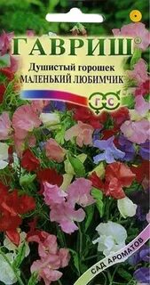 Душистый горошек семена