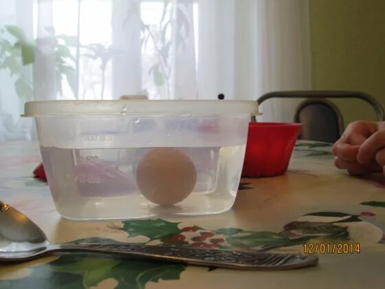 Отличить вареное от сырого. Как отличить вареное яйцо от не вареного. Как отличить вареное яйцо от сырого. Как отличить вареное яйцо от невареного. Как отличить вареное яйцо от сырого не разбивая скорлупы.