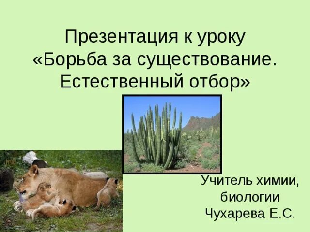 Какие примеры иллюстрируют внутривидовую борьбу за существование Движущие силы эволюции. Борьба за существование презентация онлайн