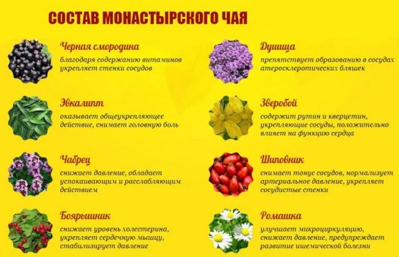 ромашка аптечная биологически активные вещества. ромашка от высокого давления. отвар ромашки в аптеке. повышает ли ромашка давление. ромашка в аптеке.