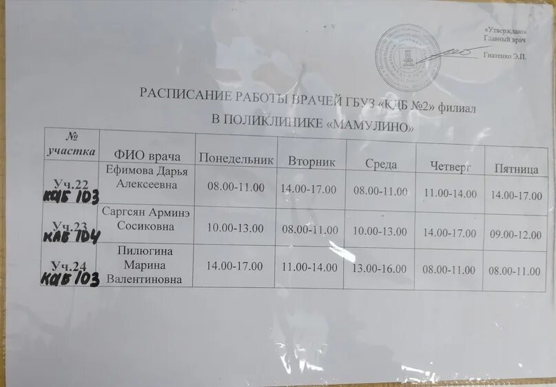 Расписание врачей детской поликлиники 16. Военная поликлиника в Мамулино Тверь расписание врачей. Расписание детской поликлиники Мамулино Тверь. Поликлиника 2 Тверь расписание врачей. Мамулино поликлиника детская 2.