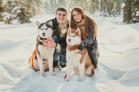 Фотосессии с хаской