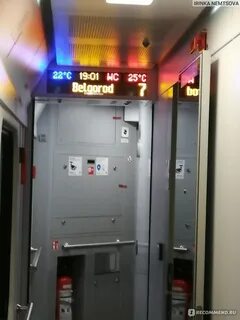 82 поезд белгород петербург
