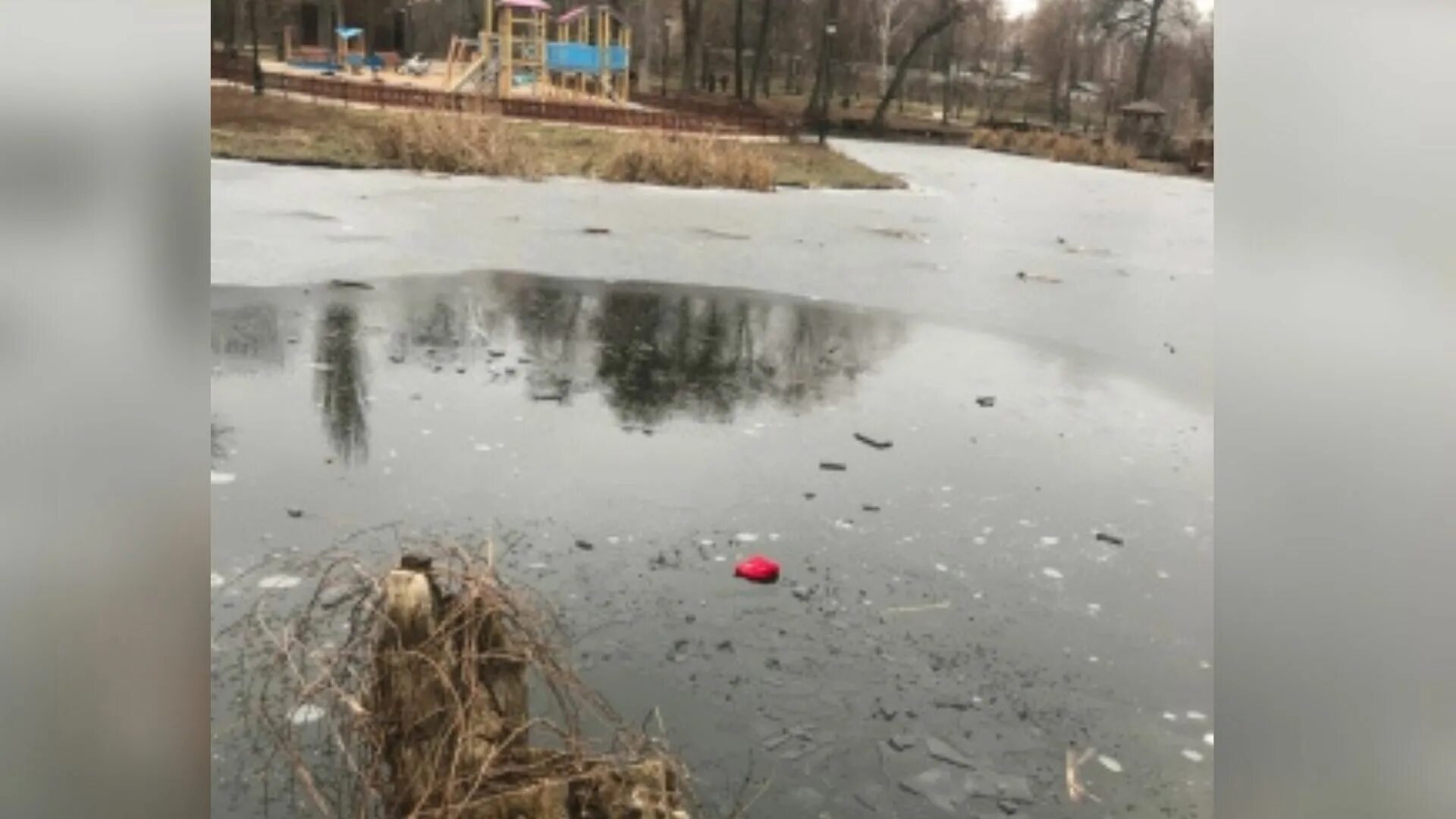 Петровский парк Елец. Утонула в Петровском парке. Список утонувших